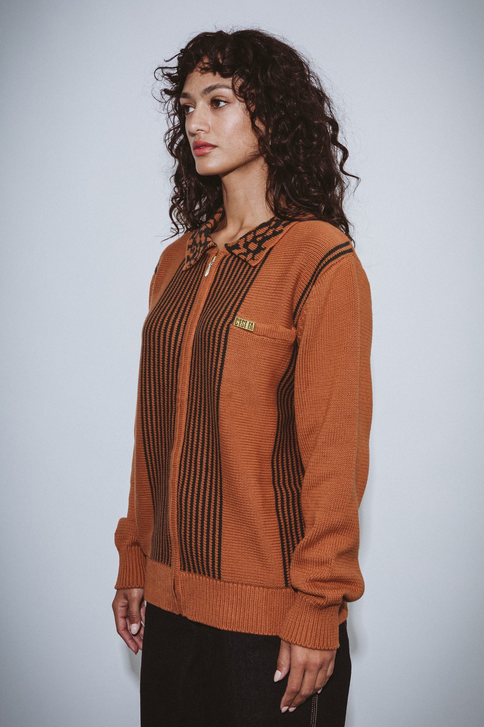 FA Zip Polo Striped Knit Sweater