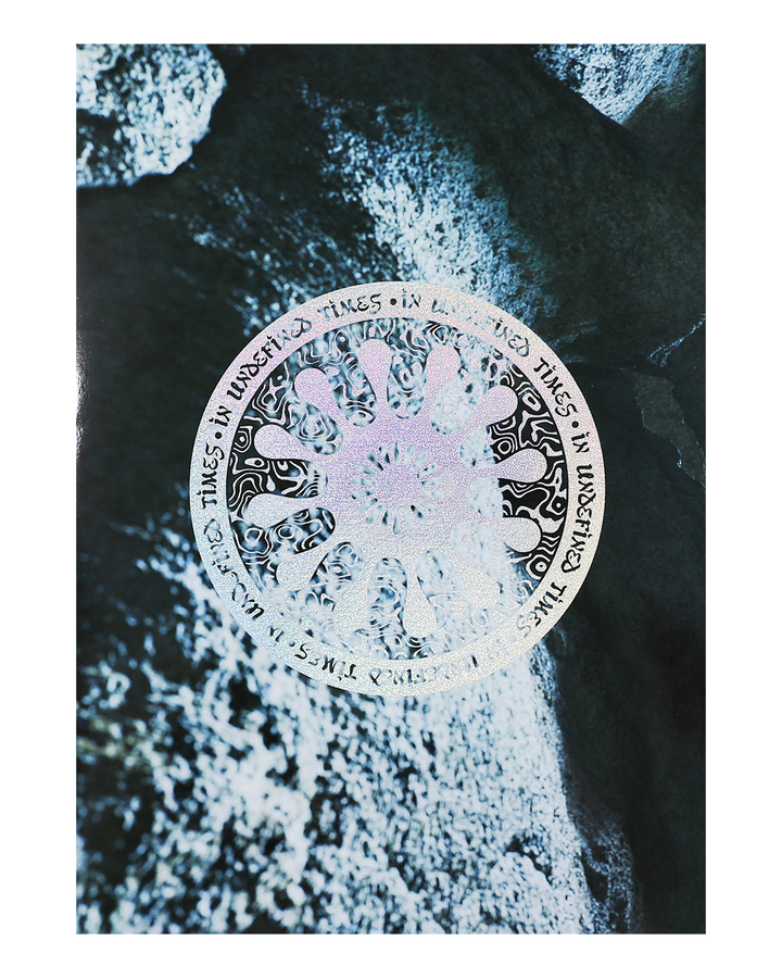 KIM LAUGHTON In Undefined Times - Book