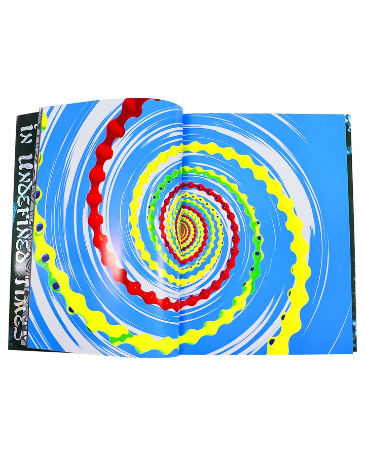 KIM LAUGHTON In Undefined Times - Book