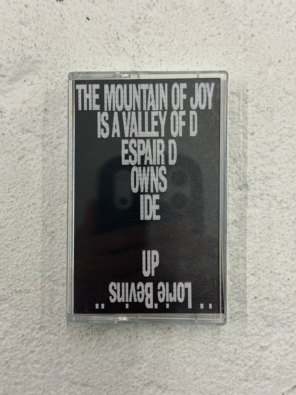 The Mountain of Joy is a Valley of Despair Downside Up by Lorie Bevins Cassette Tape