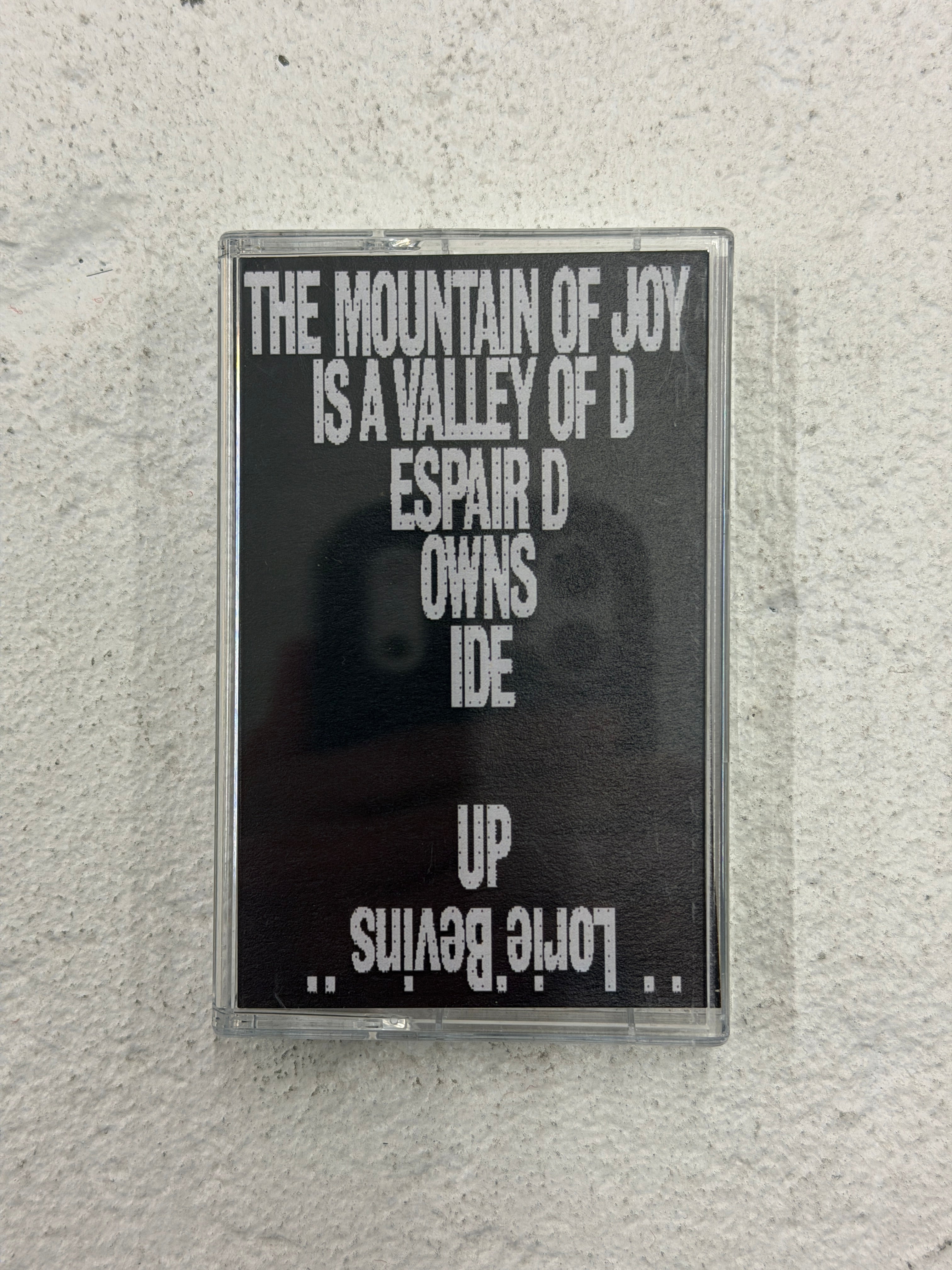 The Mountain of Joy is a Valley of Despair Downside Up by Lorie Bevins Cassette Tape