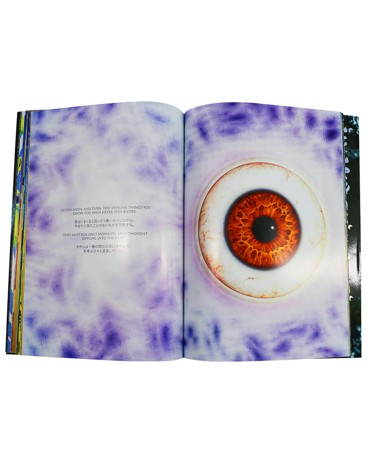 KIM LAUGHTON In Undefined Times - Book