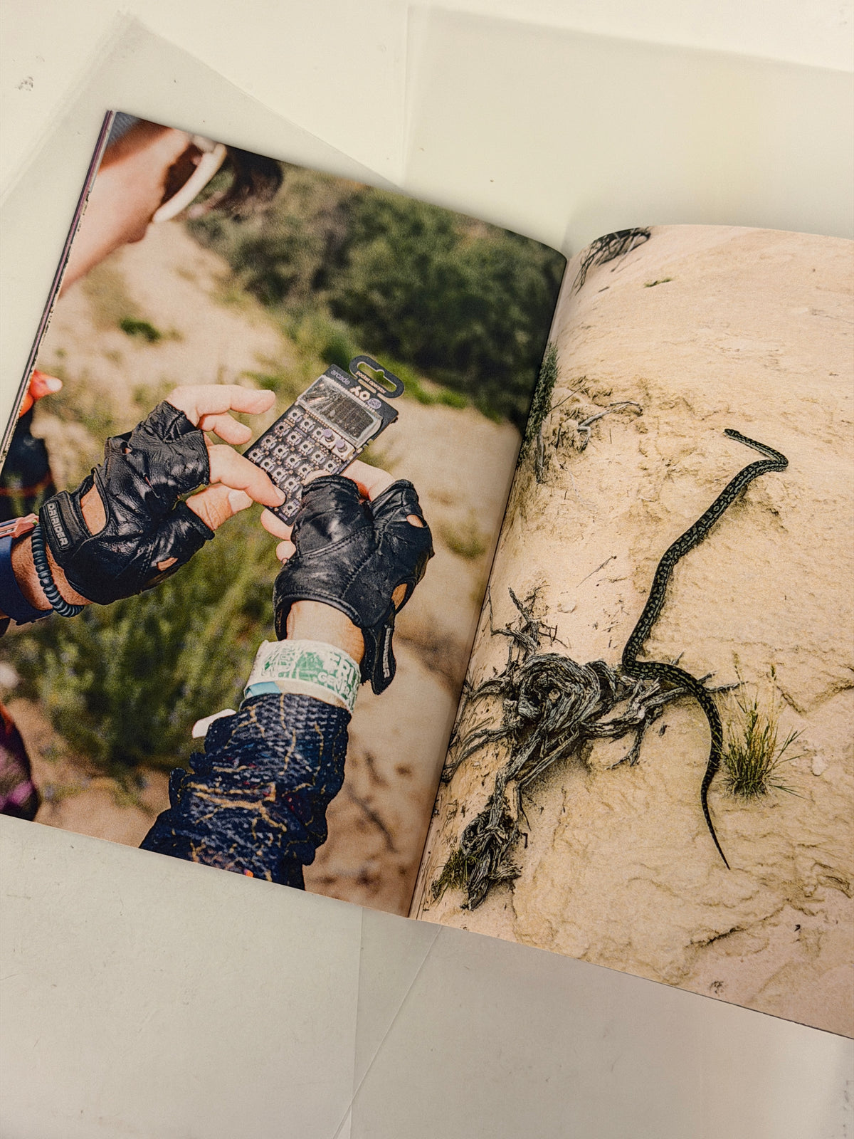PAAM 2: PAM x MAAP Photo Zine