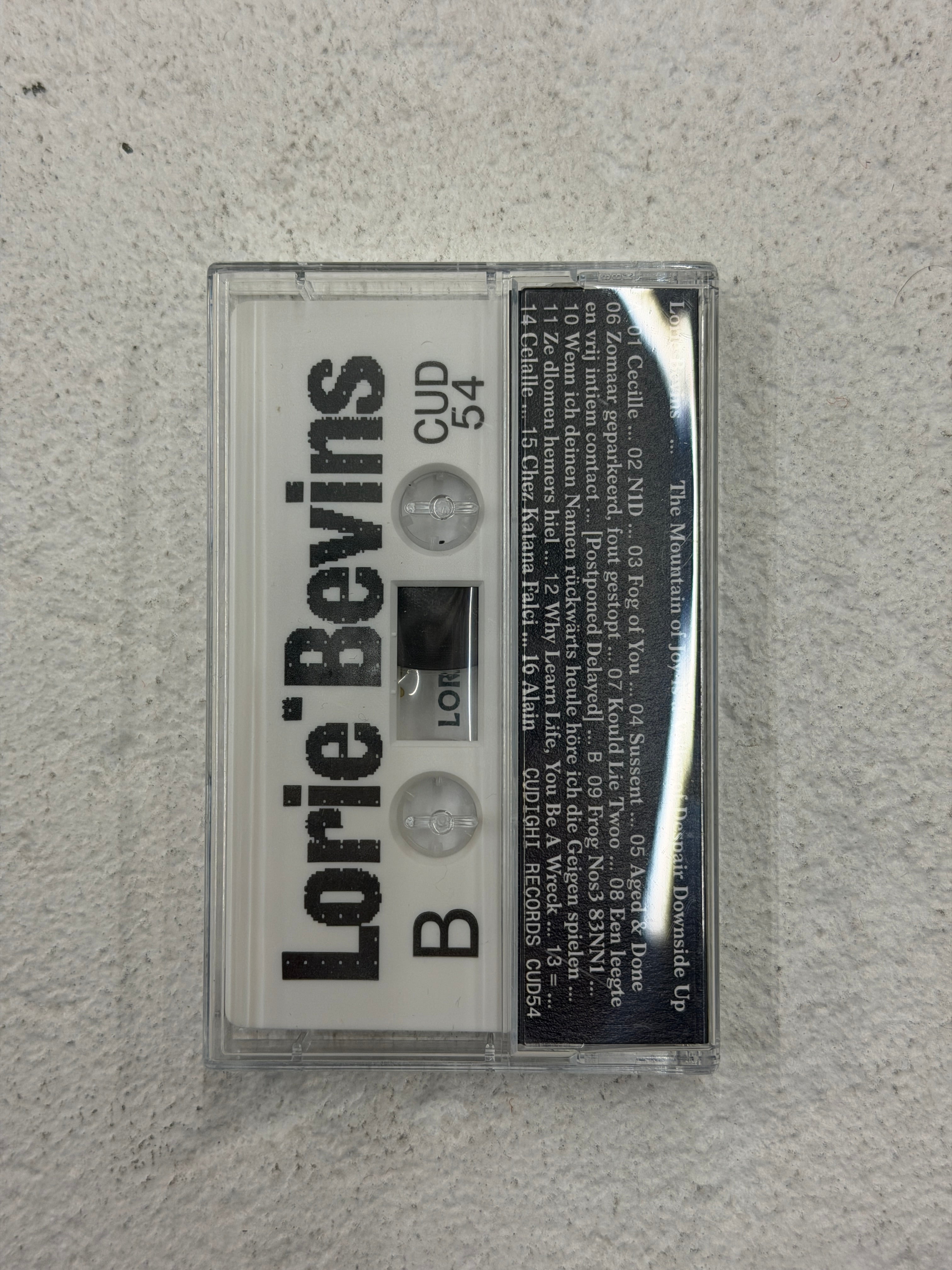 The Mountain of Joy is a Valley of Despair Downside Up by Lorie Bevins Cassette Tape