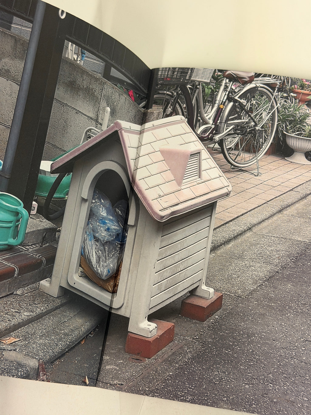 Pet Ruins (ペット遺跡) - Ribeka Kimura