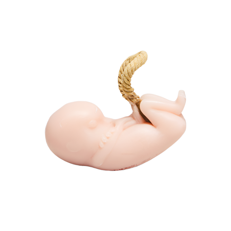 FA Baby Fetus Soap On A Rope