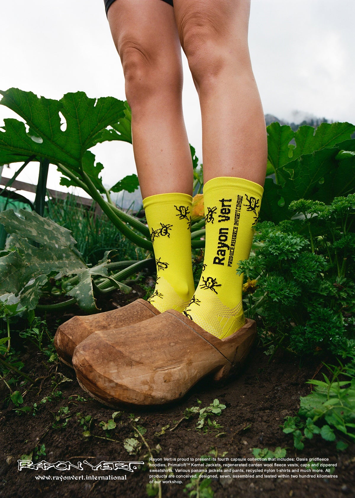 Rayon Vert Kakerlaken Socks [Corn Yellow]