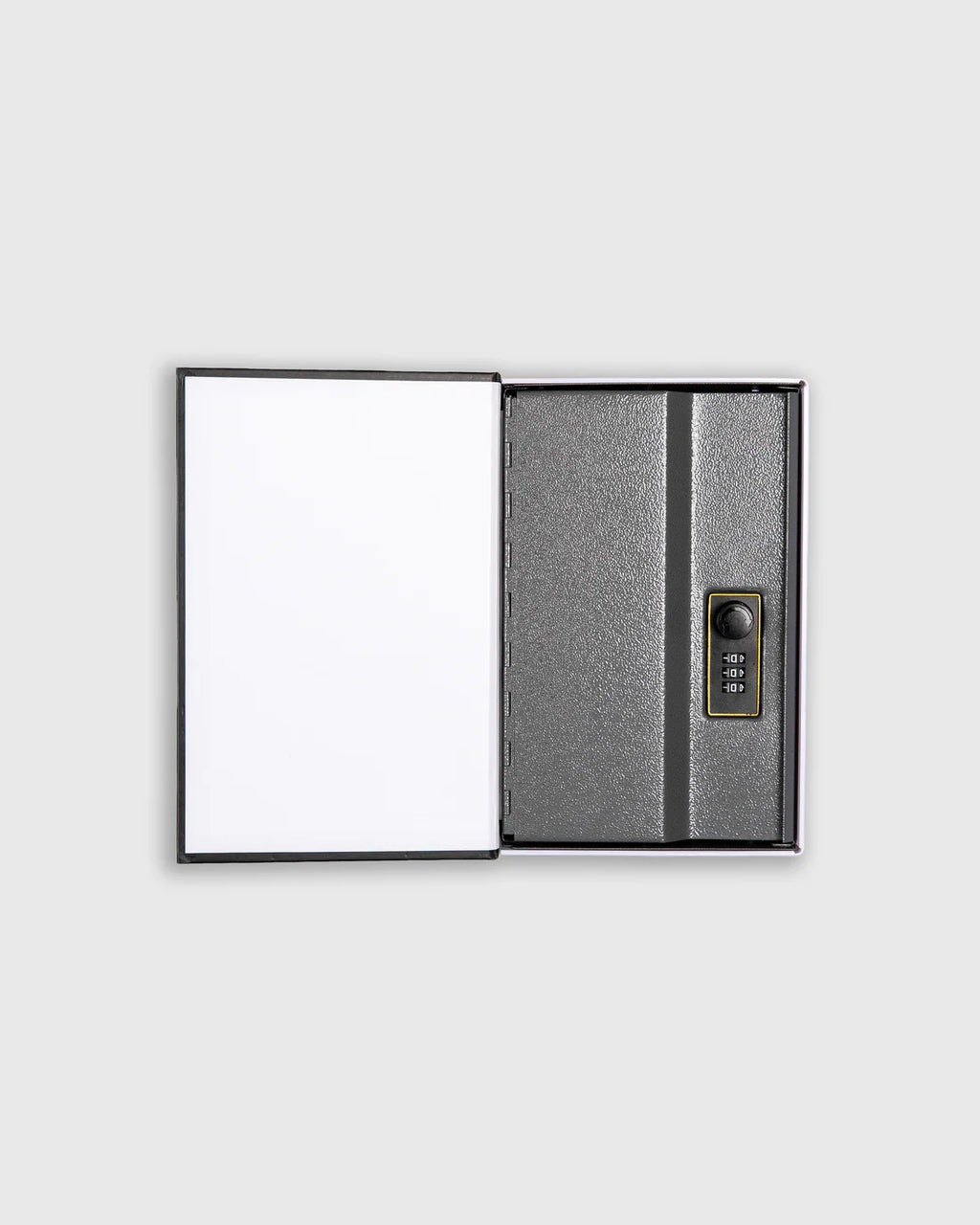 PLEASURES Saint Booksafe