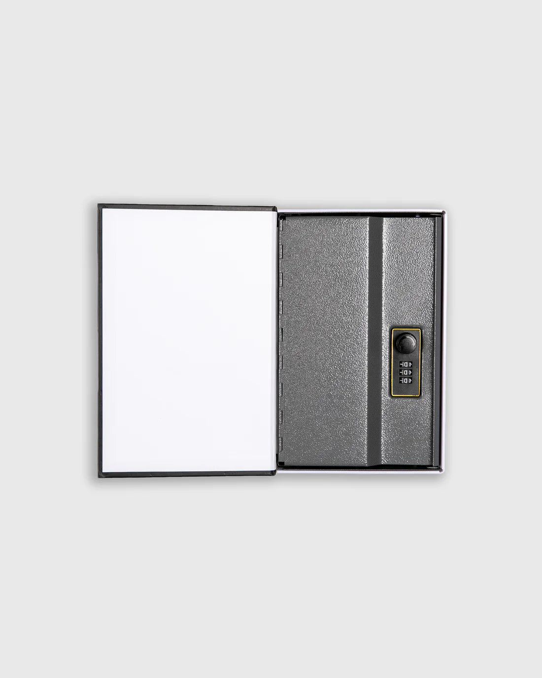 PLEASURES Saint Booksafe