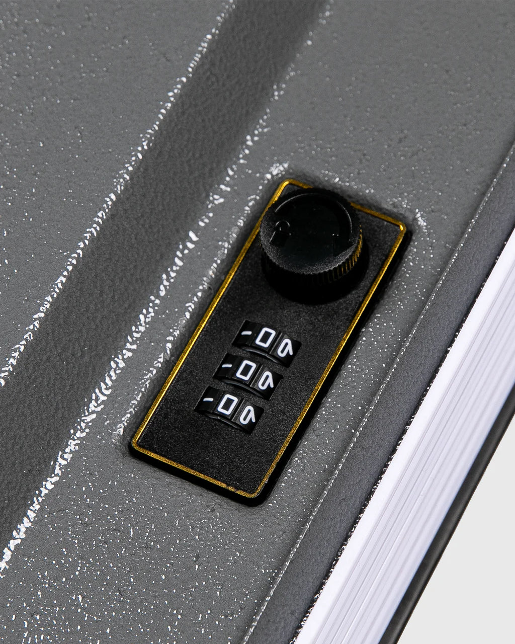 PLEASURES Saint Booksafe