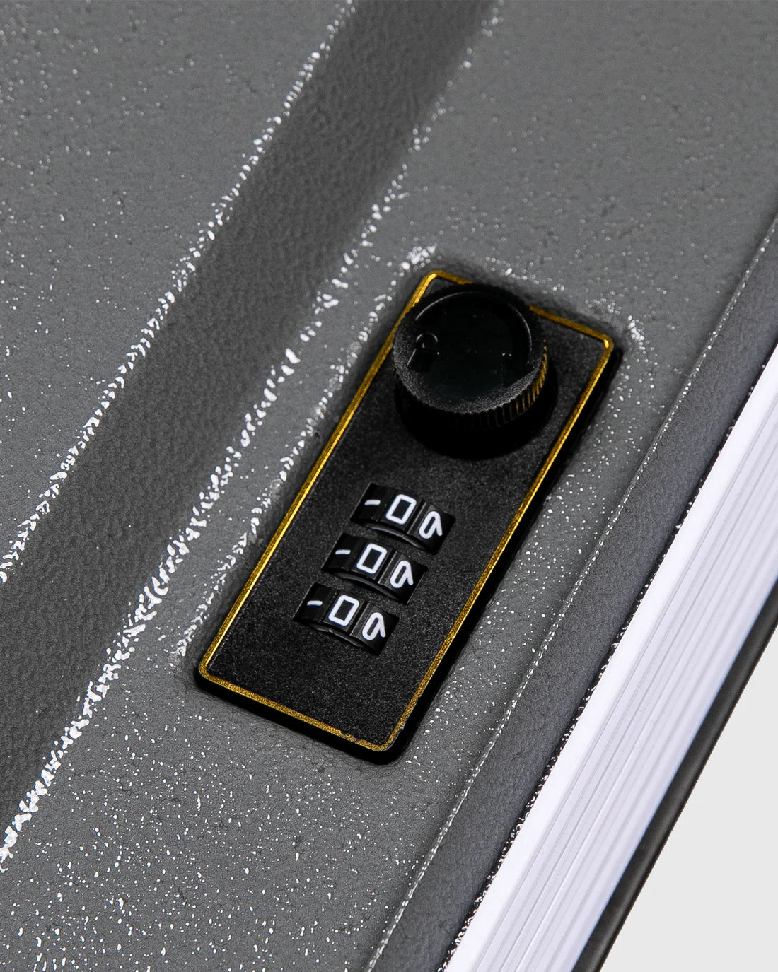 PLEASURES Saint Booksafe