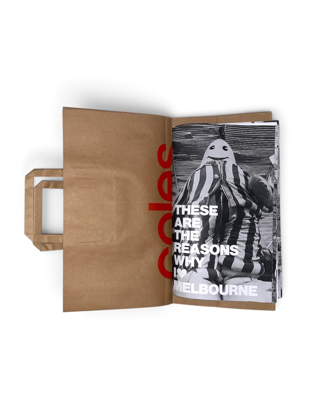 Sun (c) x Bootleg Comics Coles Bag Zine