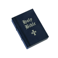 Fucking Awesome Holy Bible Stress Book