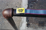 iggy NYC This Close To Falling Apart Belt | Purple & Blue