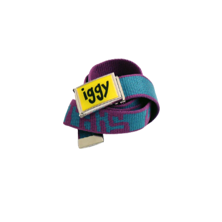 iggy NYC This Close To Falling Apart Belt | Purple & Blue